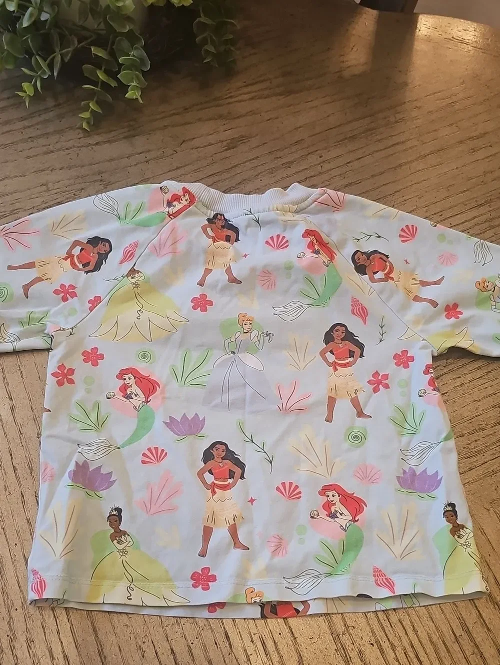 Disney Blue Pastel Princess Print Top and Tulle Skort Size 5/6